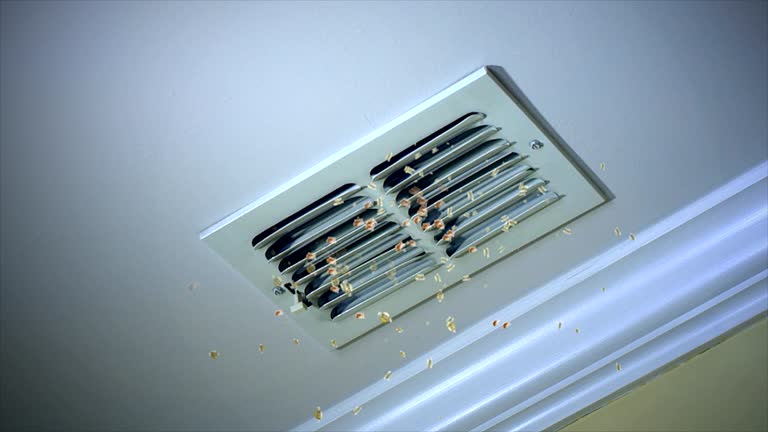 Best Best Air Duct Cleaning Near Me  in Budd Lake, NJ
